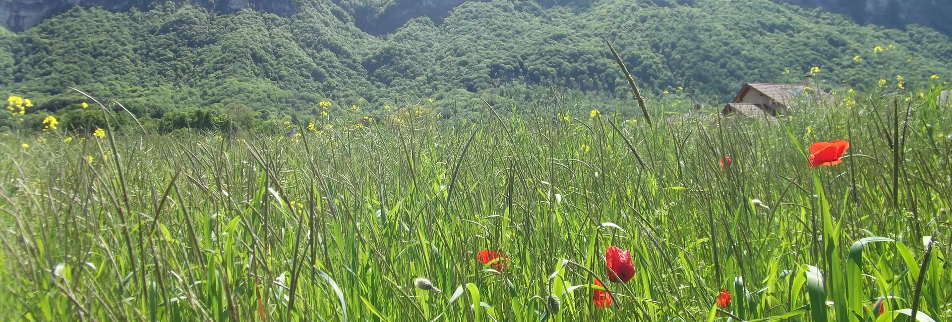 Commune de Méry - Massif du Revard en Savoie